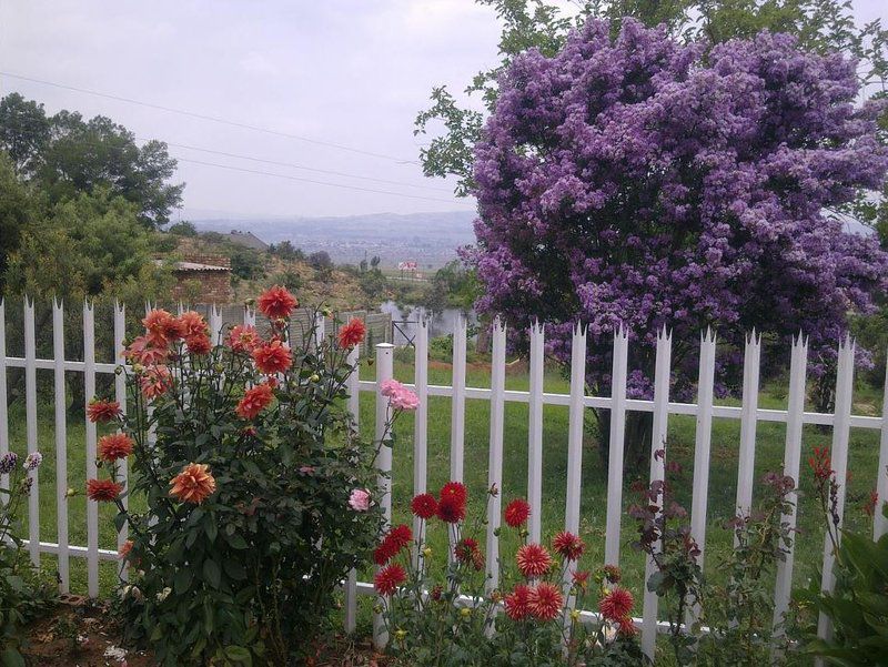 Berg Plaas Guest House Heidelberg Gauteng South Africa Blossom, Plant, Nature, Flower, Rose, Garden