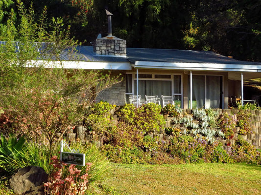 Berg Treat Bergview Kwazulu Natal South Africa House, Building, Architecture, Garden, Nature, Plant