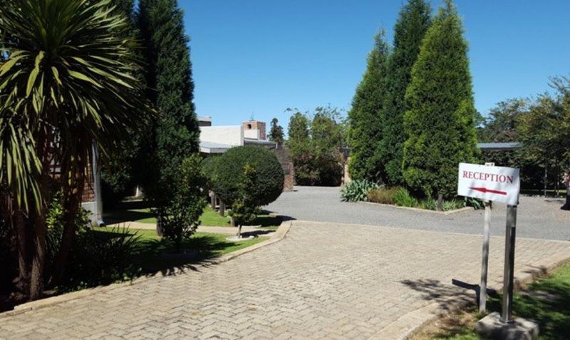 Bergbau Haus Volksrust Mpumalanga South Africa Complementary Colors, Palm Tree, Plant, Nature, Wood, Garden