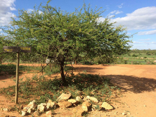 Berghaan Bush Cottage Marloth Park Mpumalanga South Africa Complementary Colors, Tree, Plant, Nature, Wood, Desert, Sand, Lowland