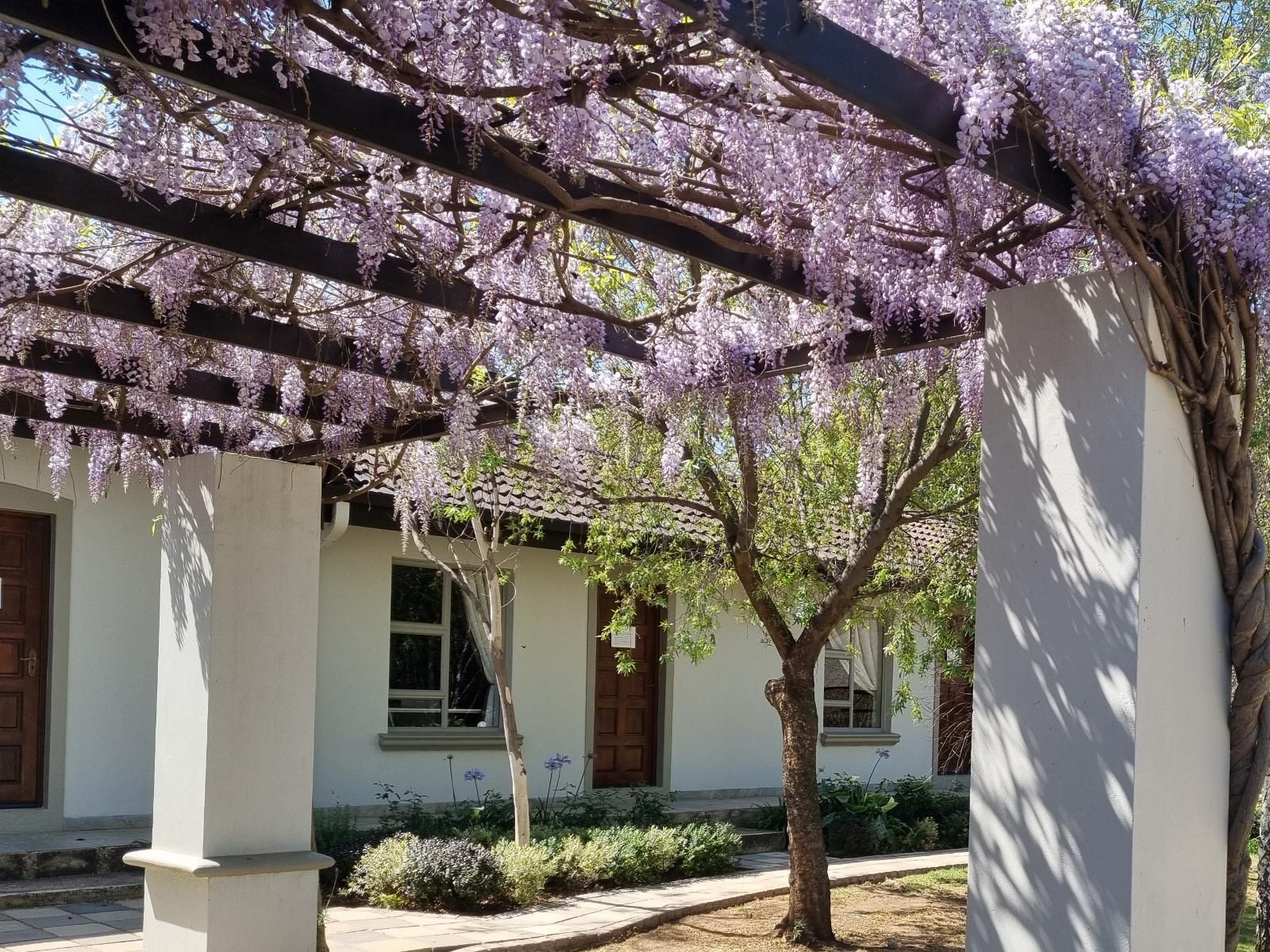 Bergliot Guest House Eastleigh Ridge Johannesburg Gauteng South Africa Blossom, Plant, Nature, House, Building, Architecture