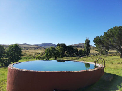Bergplaas Nature Reserve Sneeuberg Eastern Cape South Africa Swimming Pool