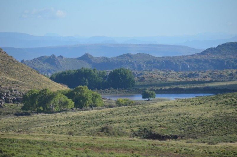 Bergplaas Nature Reserve Sneeuberg Eastern Cape South Africa Desert, Nature, Sand, Highland