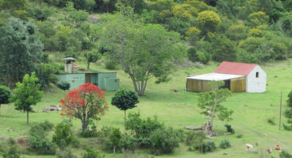 Bergrivier Outdoor Experience Ec Thornhill Port Elizabeth Eastern Cape South Africa Barn, Building, Architecture, Agriculture, Wood