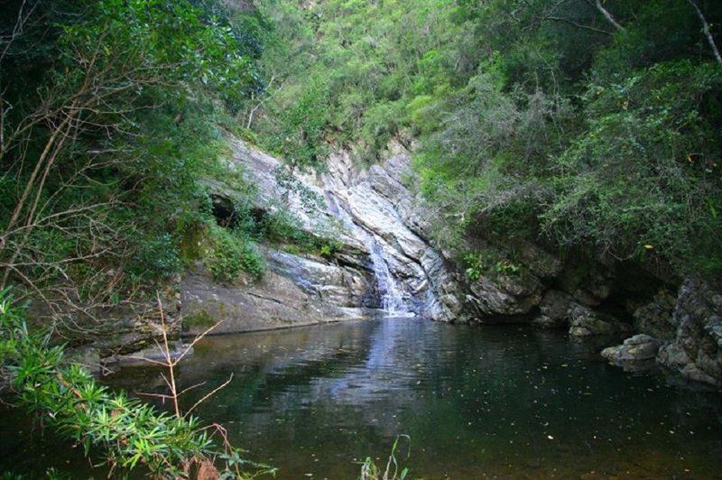 Bergrivier Outdoor Experience Ec Thornhill Port Elizabeth Eastern Cape South Africa Forest, Nature, Plant, Tree, Wood, River, Waters, Waterfall