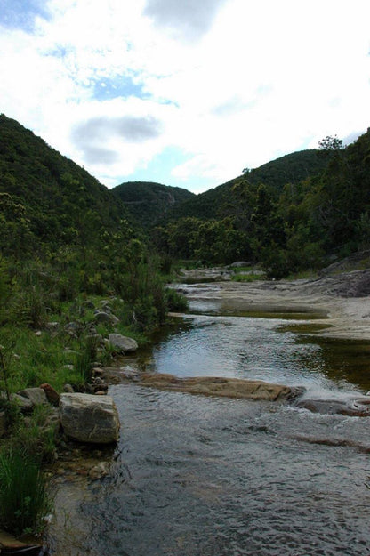 Bergrivier Outdoor Experience Ec Thornhill Port Elizabeth Eastern Cape South Africa Forest, Nature, Plant, Tree, Wood, River, Waters, Waterfall, Highland