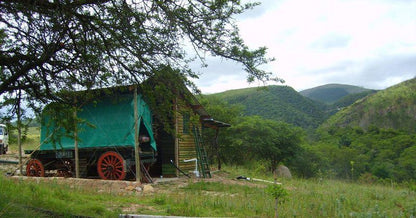 Bergrivier Chalets Eastern Cape Thornhill Port Elizabeth Eastern Cape South Africa Train, Vehicle, Cabin, Building, Architecture, Highland, Nature