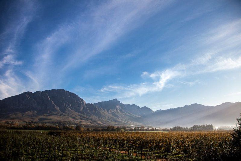 Bergsicht Country Farm Cottages Couple Units Tulbagh Western Cape South Africa Mountain, Nature