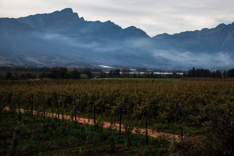 Bergsicht Country Farm Cottages Couple Units Tulbagh Western Cape South Africa Mountain, Nature, Highland