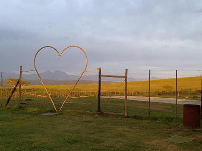 Bergsig Game Farm Hartenbos Western Cape South Africa Complementary Colors, Nature