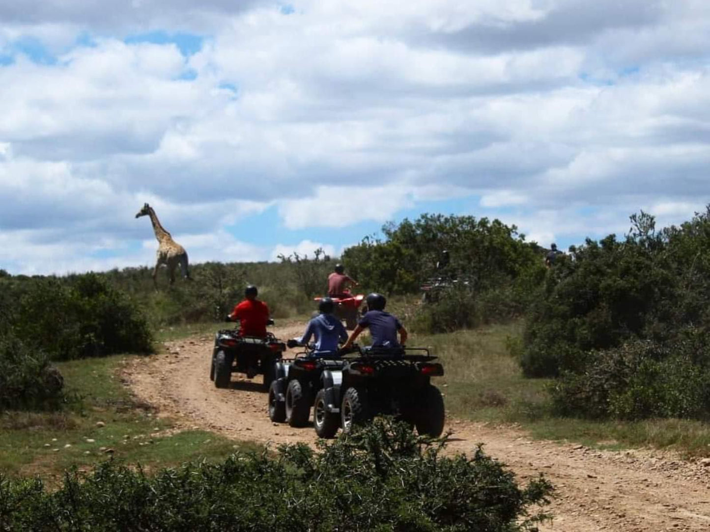 Bergsig Game Farm Hartenbos Western Cape South Africa Quad Bike, Vehicle