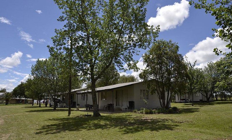 Bergville Caravan Park And Chalets Bergville Kwazulu Natal South Africa Complementary Colors, Tree, Plant, Nature, Wood