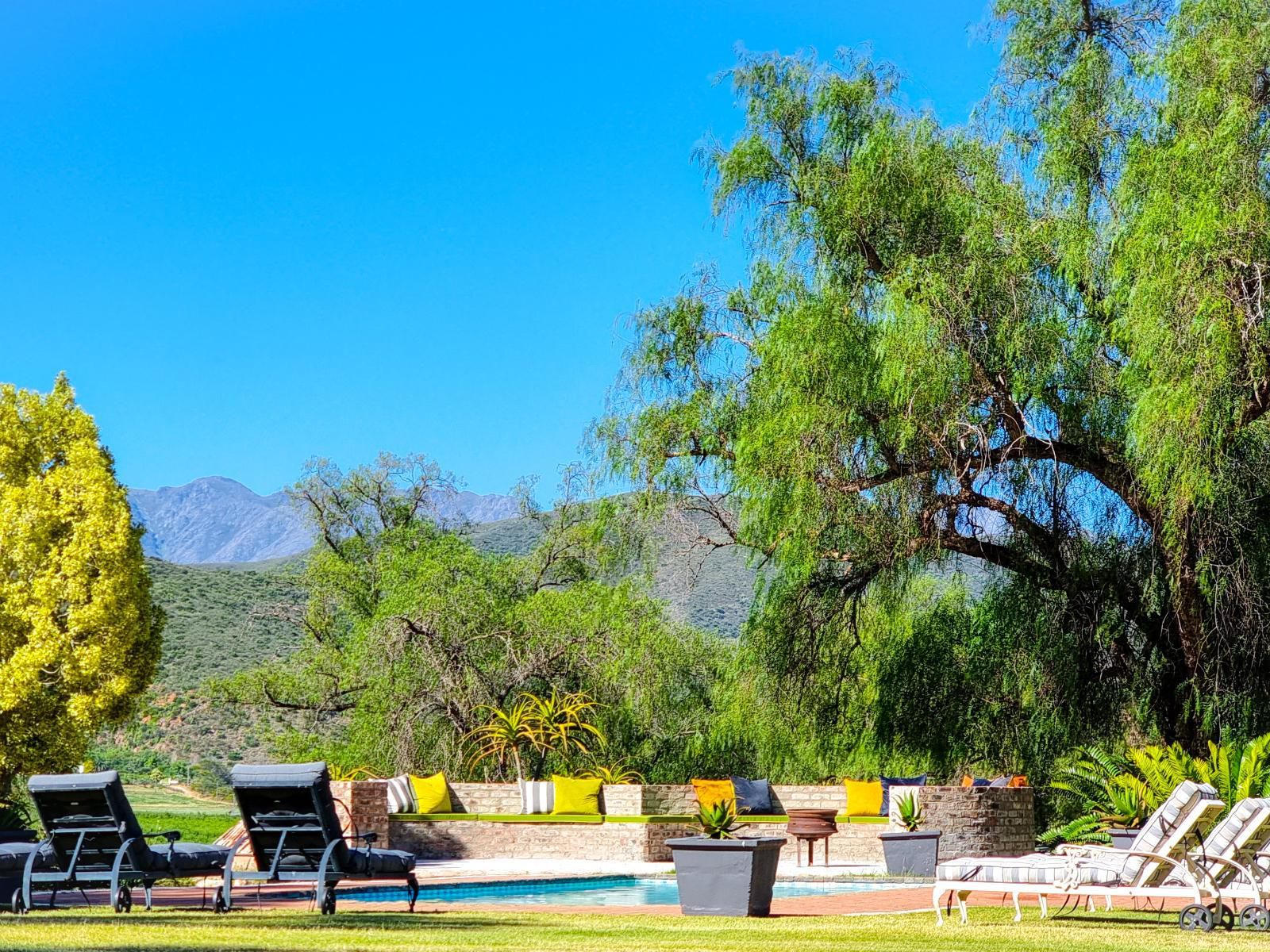 Berluda Farmhouse And Cottages Oudtshoorn Western Cape South Africa Complementary Colors, Plant, Nature