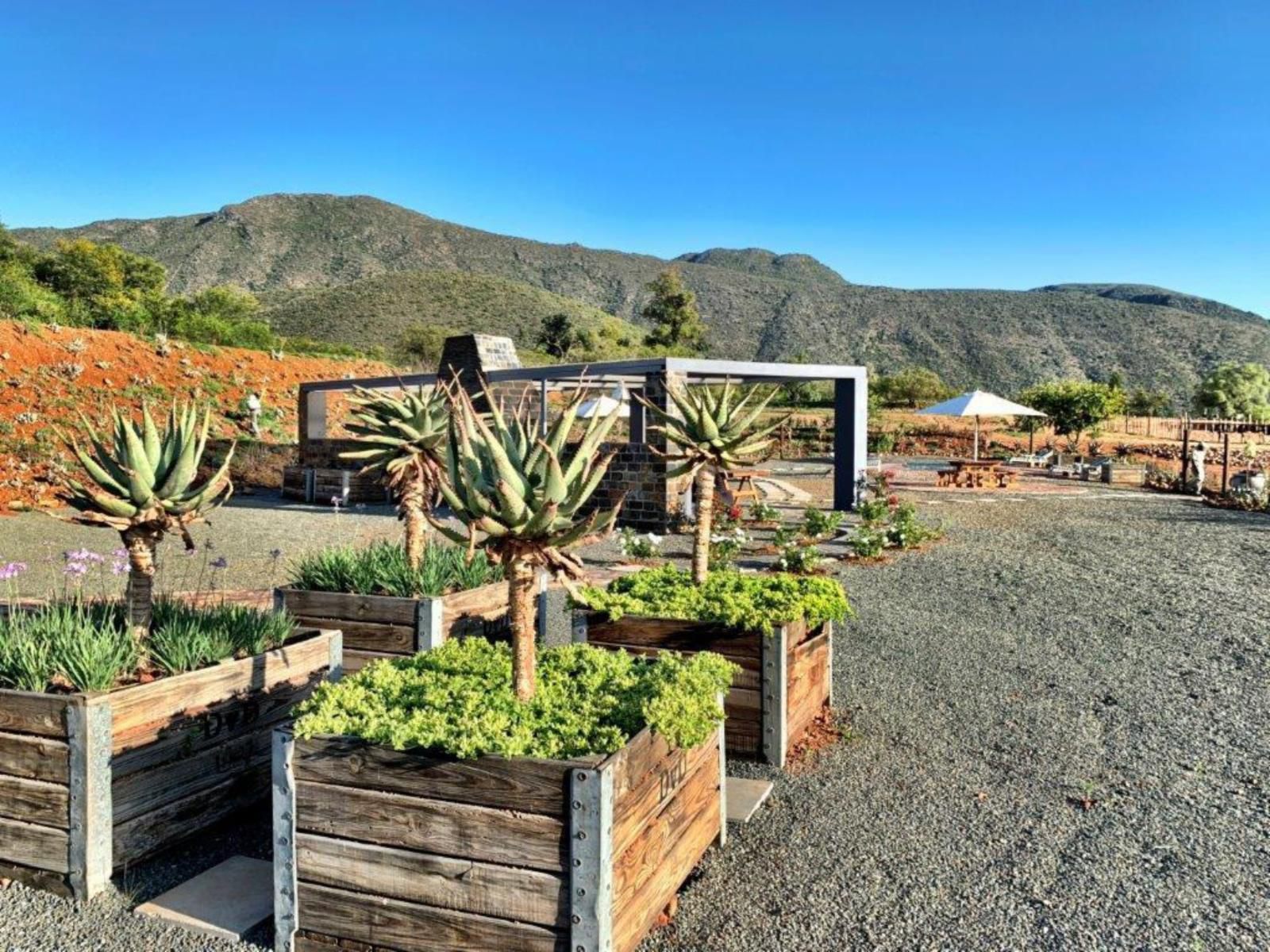 Berluda Farmhouse And Cottages Oudtshoorn Western Cape South Africa Complementary Colors, Plant, Nature