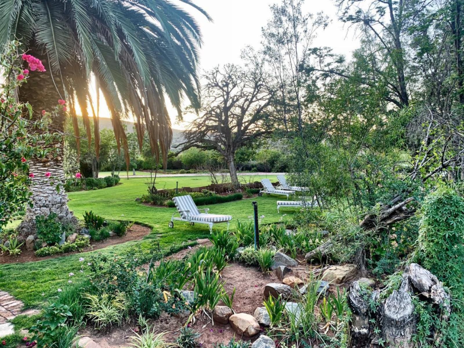 Berluda Farmhouse And Cottages Oudtshoorn Western Cape South Africa Palm Tree, Plant, Nature, Wood, Garden