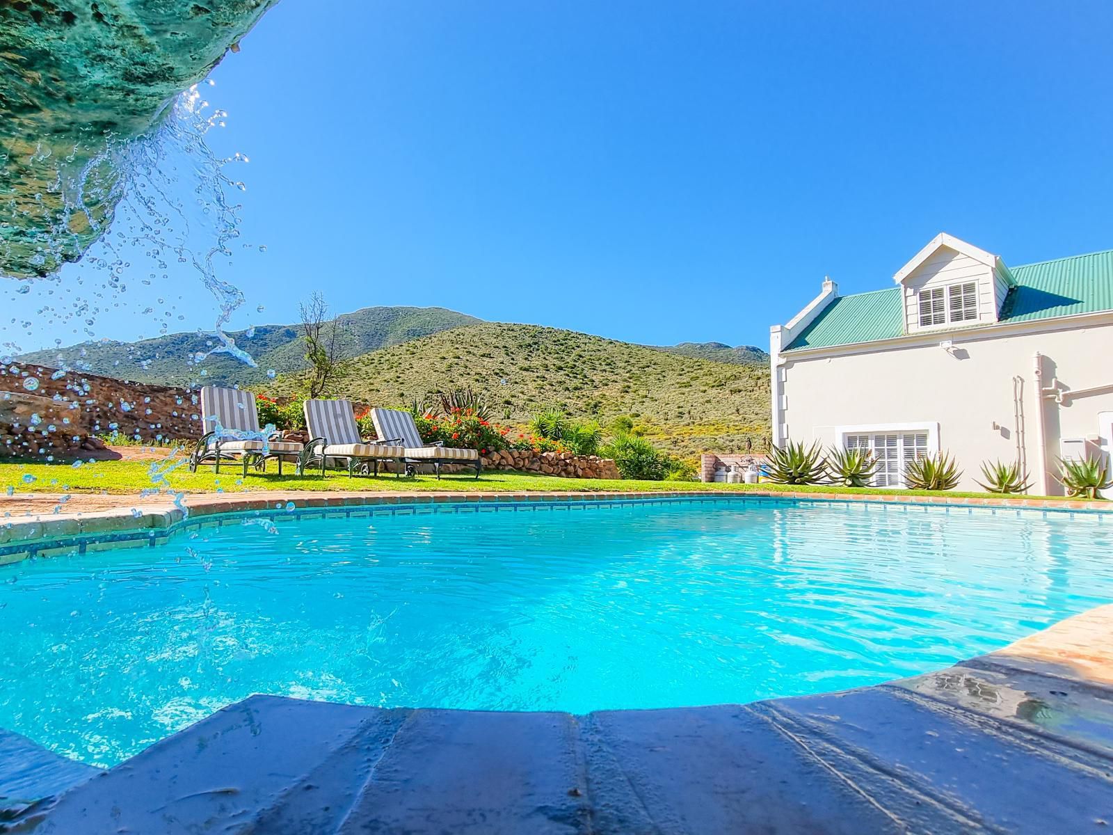 Berluda Farmhouse And Cottages Oudtshoorn Western Cape South Africa Colorful, Swimming Pool