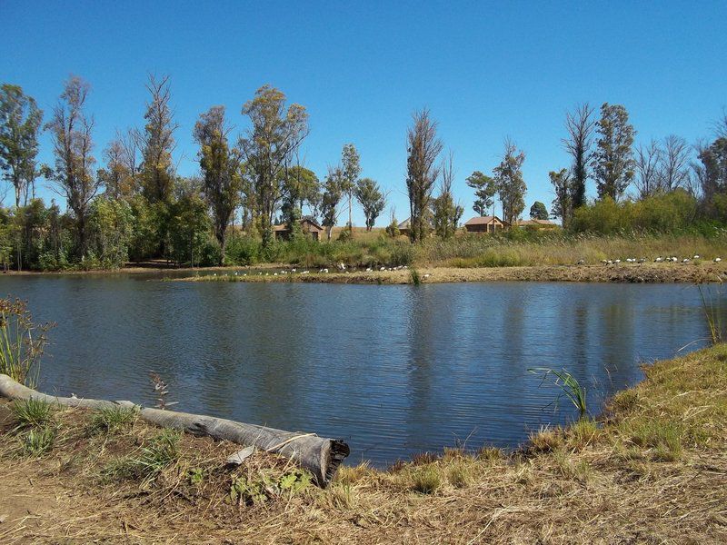 Bernally S Fishing Lodge Magaliesburg Gauteng South Africa Complementary Colors, Lake, Nature, Waters, River, Tree, Plant, Wood