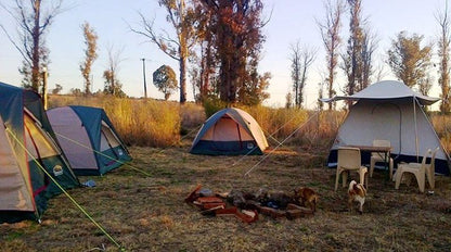 Bernally S Fishing Lodge Magaliesburg Gauteng South Africa Tent, Architecture