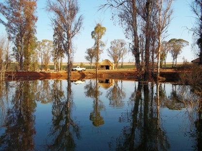 Bernally S Fishing Lodge Magaliesburg Gauteng South Africa Tree, Plant, Nature, Wood