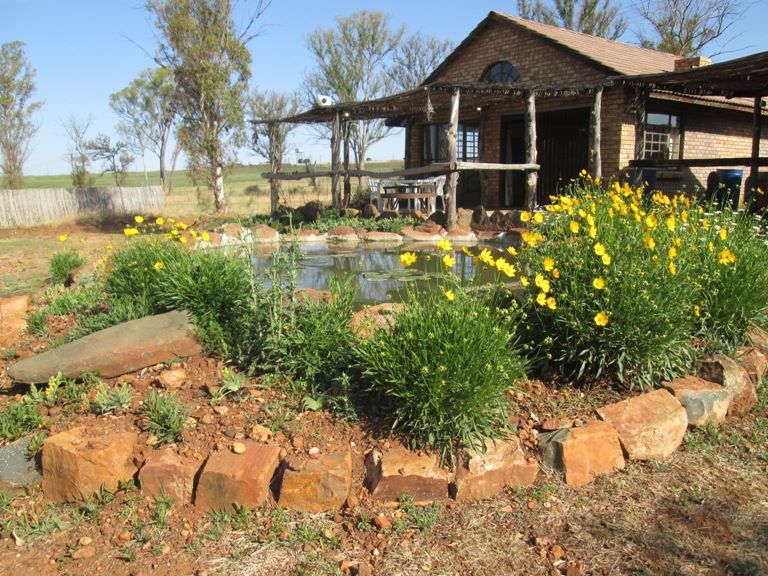 Bernally S Fishing Lodge Magaliesburg Gauteng South Africa Plant, Nature, Garden