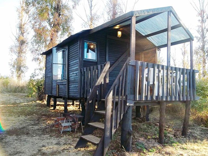 Bernally S Fishing Lodge Magaliesburg Gauteng South Africa Cabin, Building, Architecture