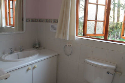 Berry Cottage Franschhoek Western Cape South Africa Unsaturated, Bathroom