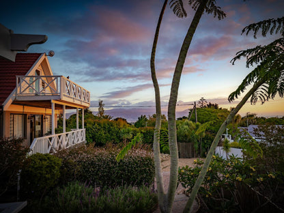 Berrydel Lifestyle Guesthouse Greenway Rise Somerset West Western Cape South Africa Palm Tree, Plant, Nature, Wood