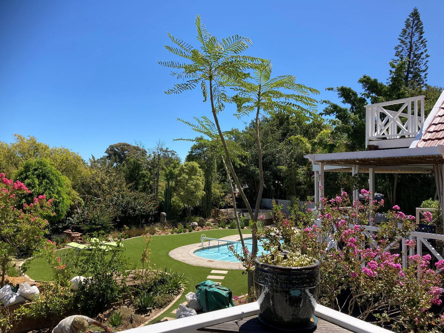 Berrydel Lifestyle Guesthouse Greenway Rise Somerset West Western Cape South Africa Complementary Colors, Palm Tree, Plant, Nature, Wood, Garden, Swimming Pool