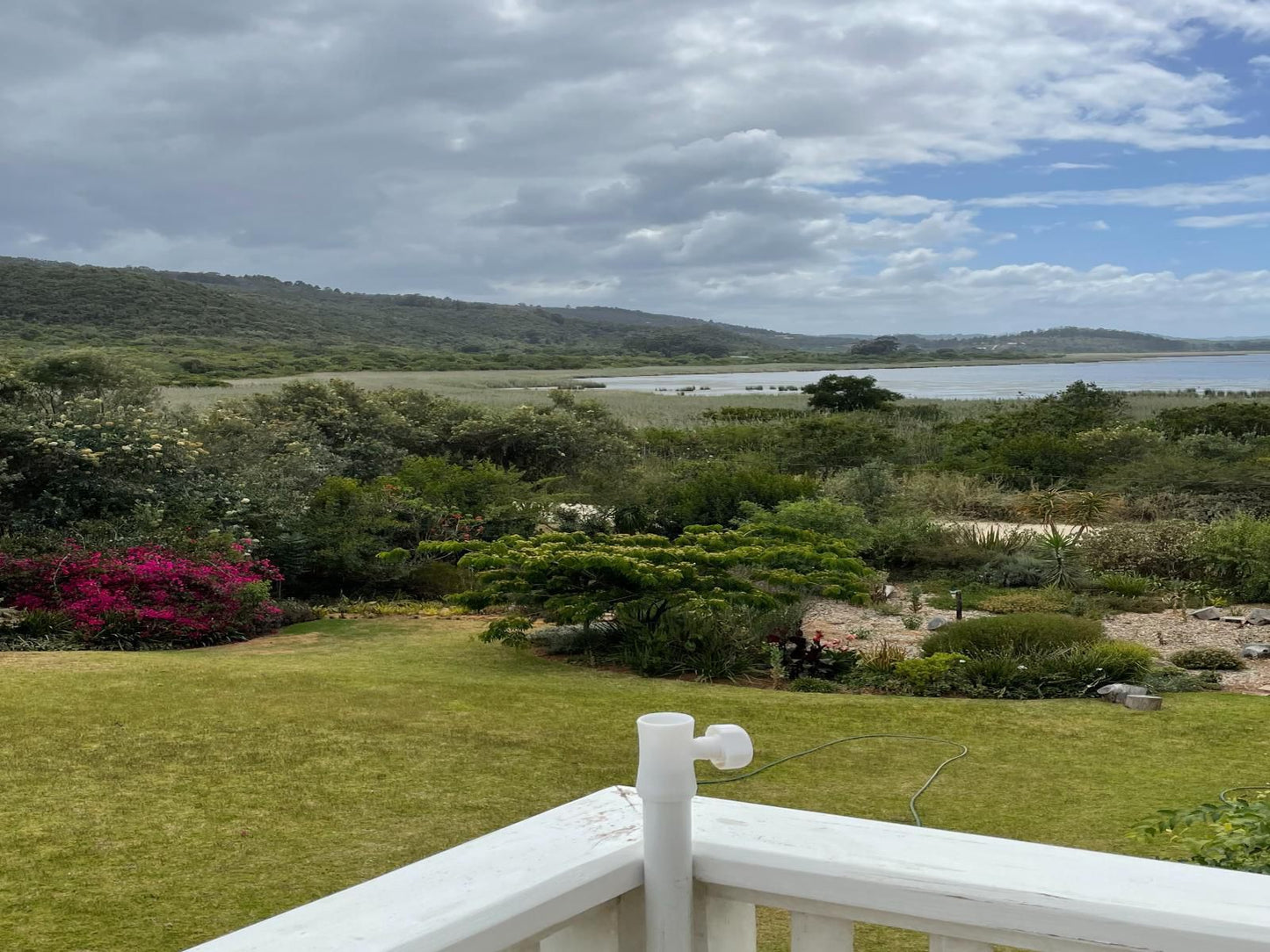 Beside Still Waters Wilderness Western Cape South Africa Complementary Colors, Nature