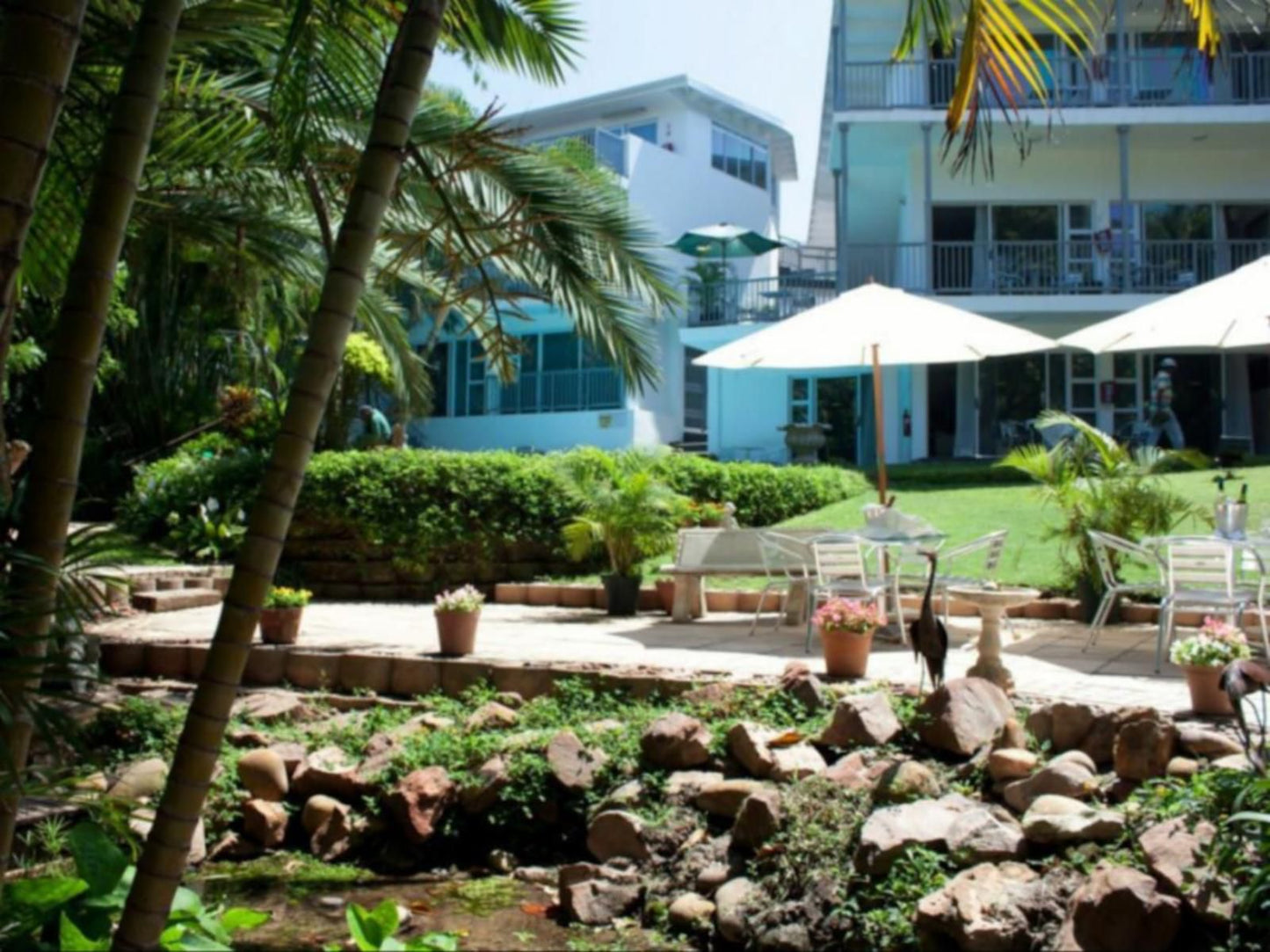 Beside Still Waters Boutique Hotel La Lucia Umhlanga Kwazulu Natal South Africa Palm Tree, Plant, Nature, Wood