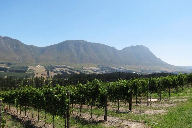 Hemel En Aarde Valley Fine Wine Tour Hemel En Aarde Western Cape South Africa Complementary Colors, Mountain, Nature, Wine, Drink, Highland