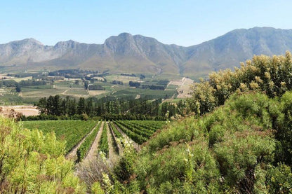 Hemel En Aarde Valley Fine Wine Tour Hemel En Aarde Western Cape South Africa Complementary Colors, Mountain, Nature, Highland