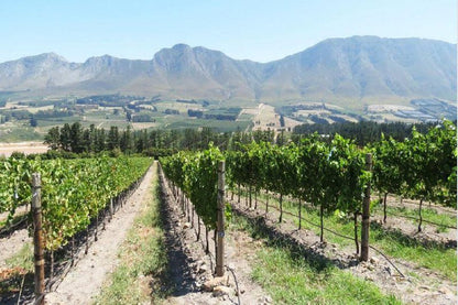 Hemel En Aarde Valley Fine Wine Tour Hemel En Aarde Western Cape South Africa Complementary Colors, Mountain, Nature, Wine, Drink