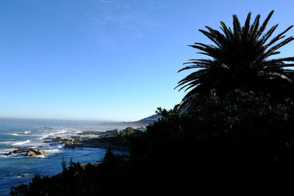 Beta Beach Guest House Camps Bay Cape Town Western Cape South Africa Beach, Nature, Sand, Palm Tree, Plant, Wood