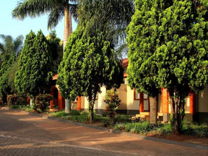 Bethel Court, House, Building, Architecture, Palm Tree, Plant, Nature, Wood