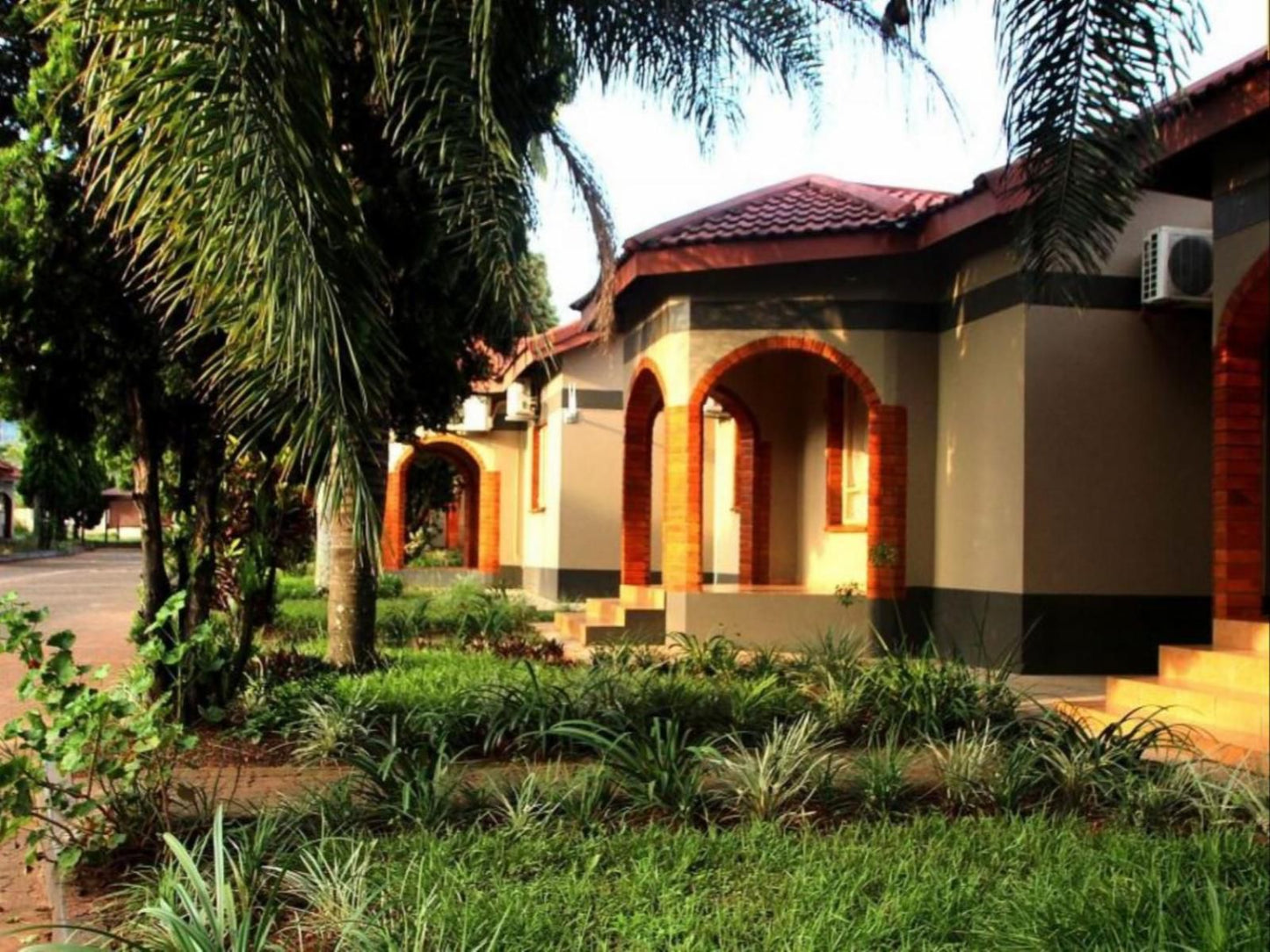 Bethel Court, House, Building, Architecture, Palm Tree, Plant, Nature, Wood