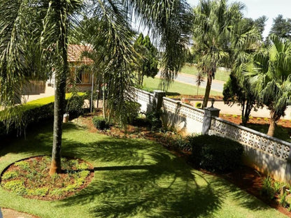 Bethel Court, Palm Tree, Plant, Nature, Wood, Garden