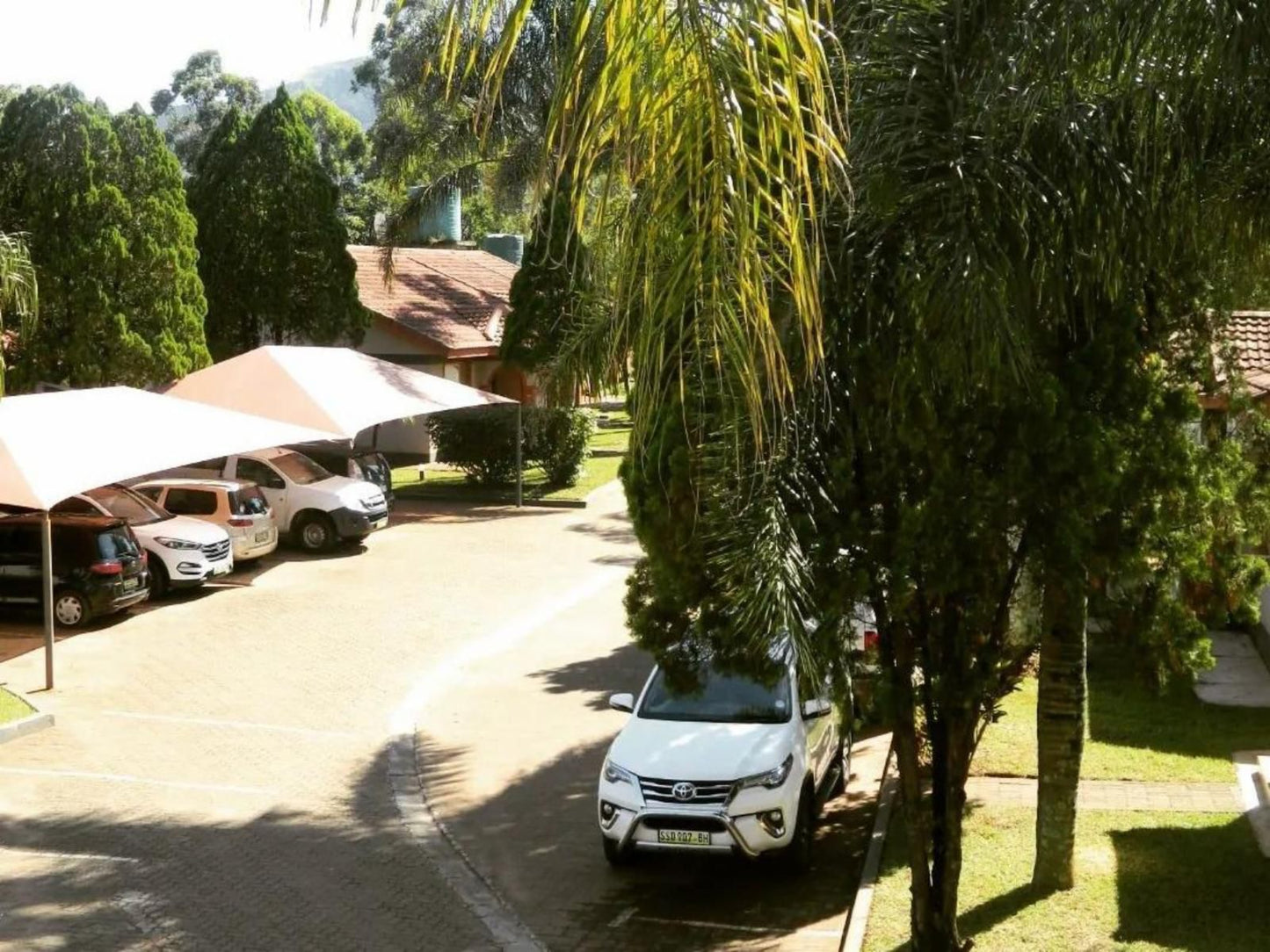 Bethel Court, Palm Tree, Plant, Nature, Wood, Car, Vehicle