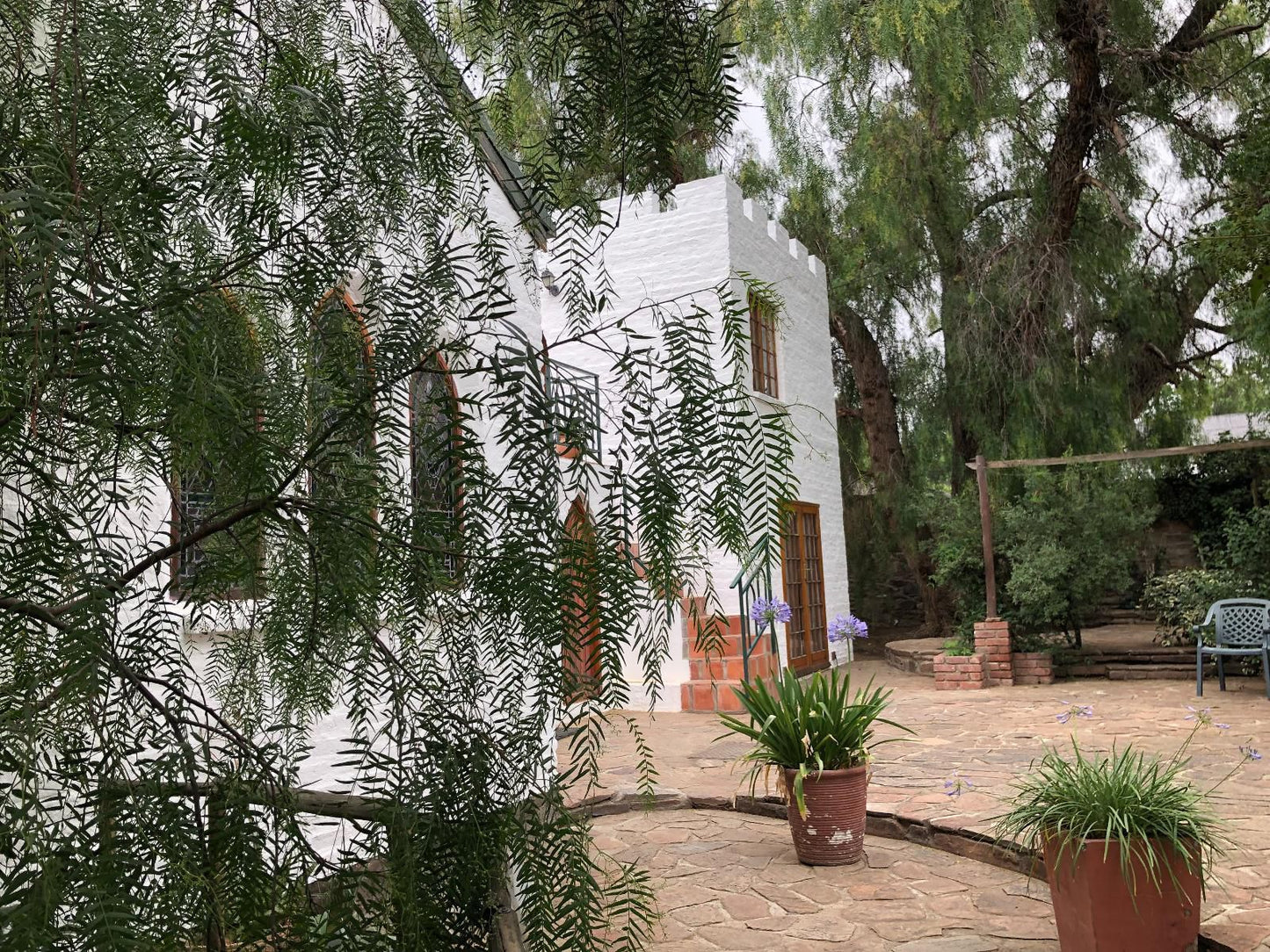 Bethesda Tower Accommodation, The Bethesda Tower B&B, Palm Tree, Plant, Nature, Wood