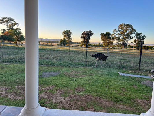 Bethulie Guest Farm Bethulie Free State South Africa Lowland, Nature