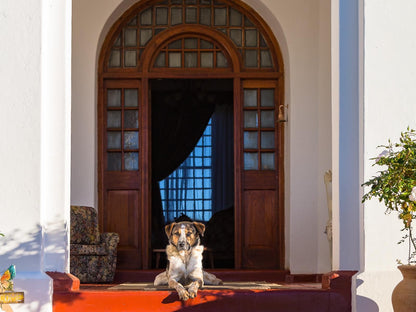 Bethulie Guest Farm Bethulie Free State South Africa Dog, Mammal, Animal, Pet, Door, Architecture, Fireplace