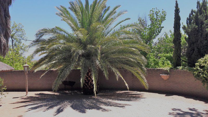 Beverly Corner Lodge Matatiele Eastern Cape South Africa Palm Tree, Plant, Nature, Wood