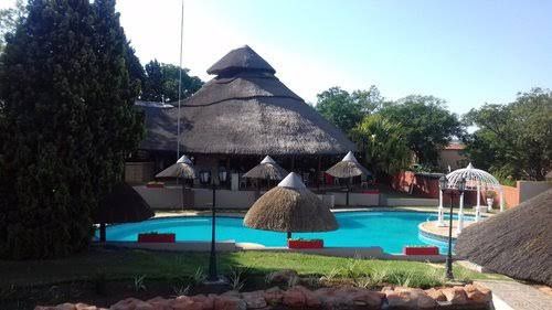 Beverly Hills Lodge Lonehill Johannesburg Gauteng South Africa Palm Tree, Plant, Nature, Wood, Swimming Pool