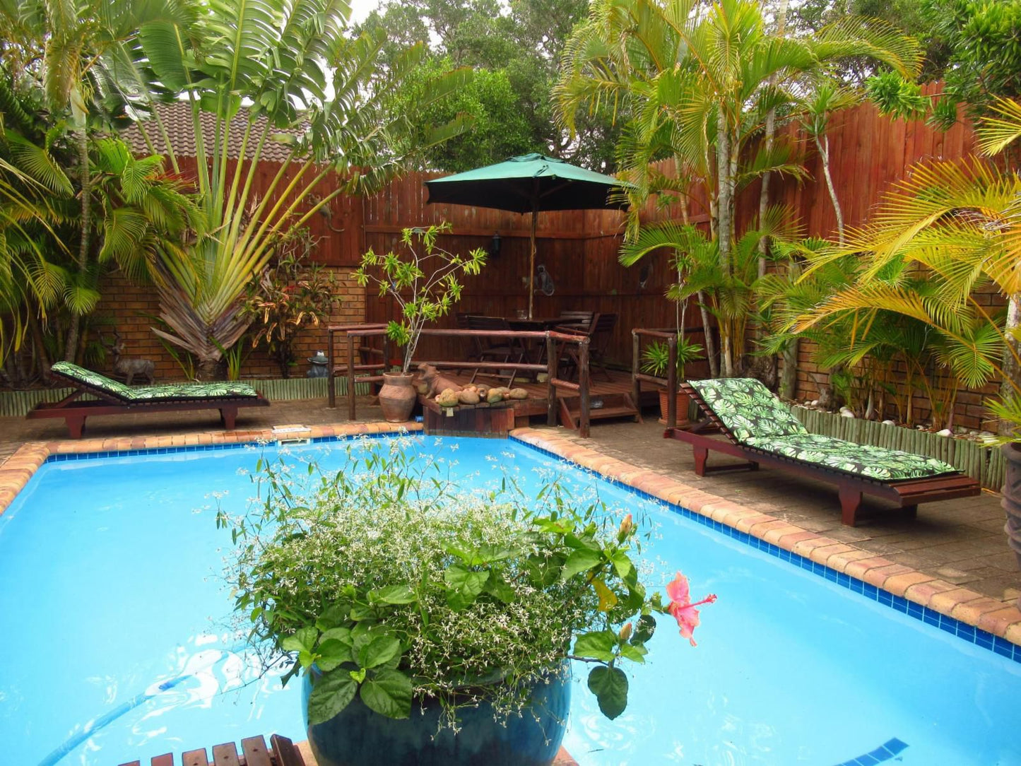 Bhangazi Lodge St Lucia Kwazulu Natal South Africa Complementary Colors, Colorful, Garden, Nature, Plant, Swimming Pool