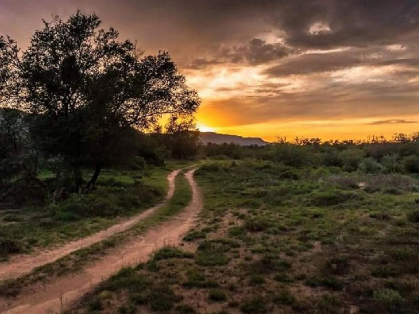 Bhejane Game Reserve Willowmore Eastern Cape South Africa Sunset, Nature, Sky