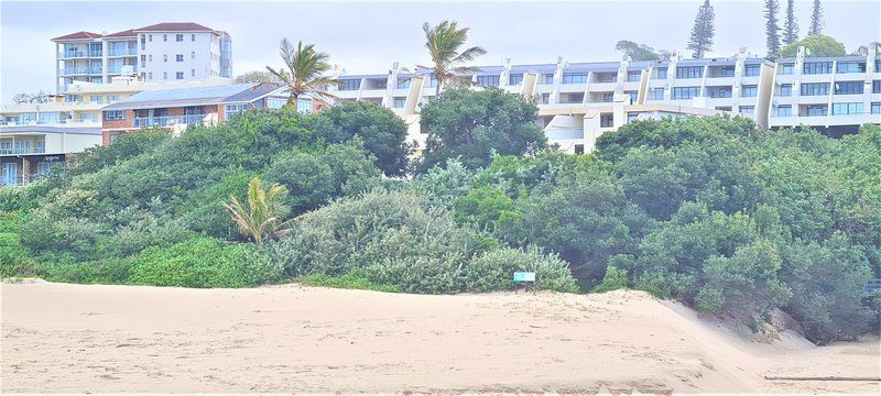 Bianca Unit 1 Margate North Beach Margate Kwazulu Natal South Africa Beach, Nature, Sand, Palm Tree, Plant, Wood