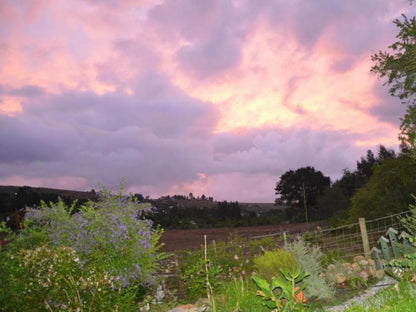 Bibi S Joy Suurbraak Western Cape South Africa Complementary Colors, Sky, Nature, Clouds