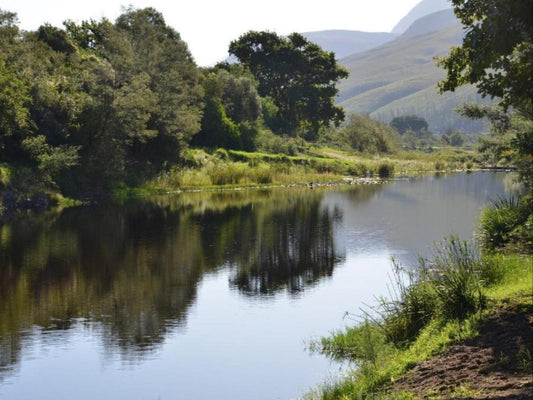 Bibi S Joy Suurbraak Western Cape South Africa Mountain, Nature, River, Waters, Tree, Plant, Wood, Highland