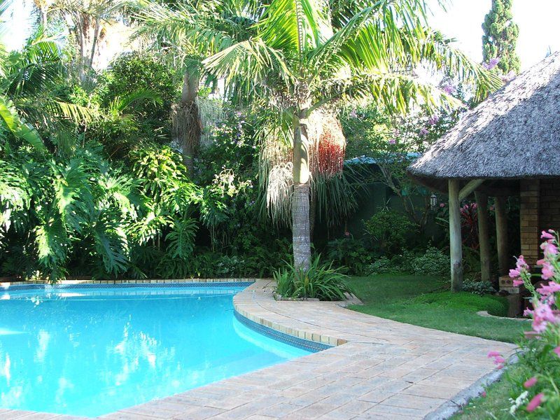 Bibury Cottage Linkside Port Elizabeth Eastern Cape South Africa Palm Tree, Plant, Nature, Wood, Garden, Swimming Pool