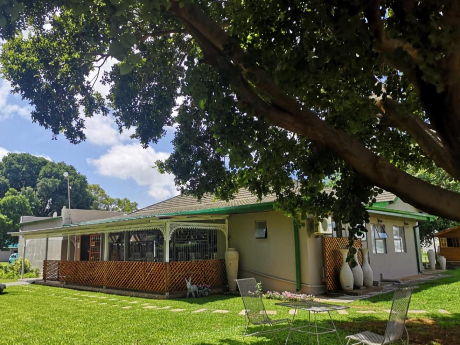 Biekiesvlei Air Bnb And Coffee Shop Lichtenburg North West Province South Africa House, Building, Architecture, Palm Tree, Plant, Nature, Wood, Window